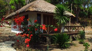 Teras/patio