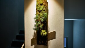 A wall-mounted decorative piece with moss and pine branches, set against a textured wall with a staircase to the left.