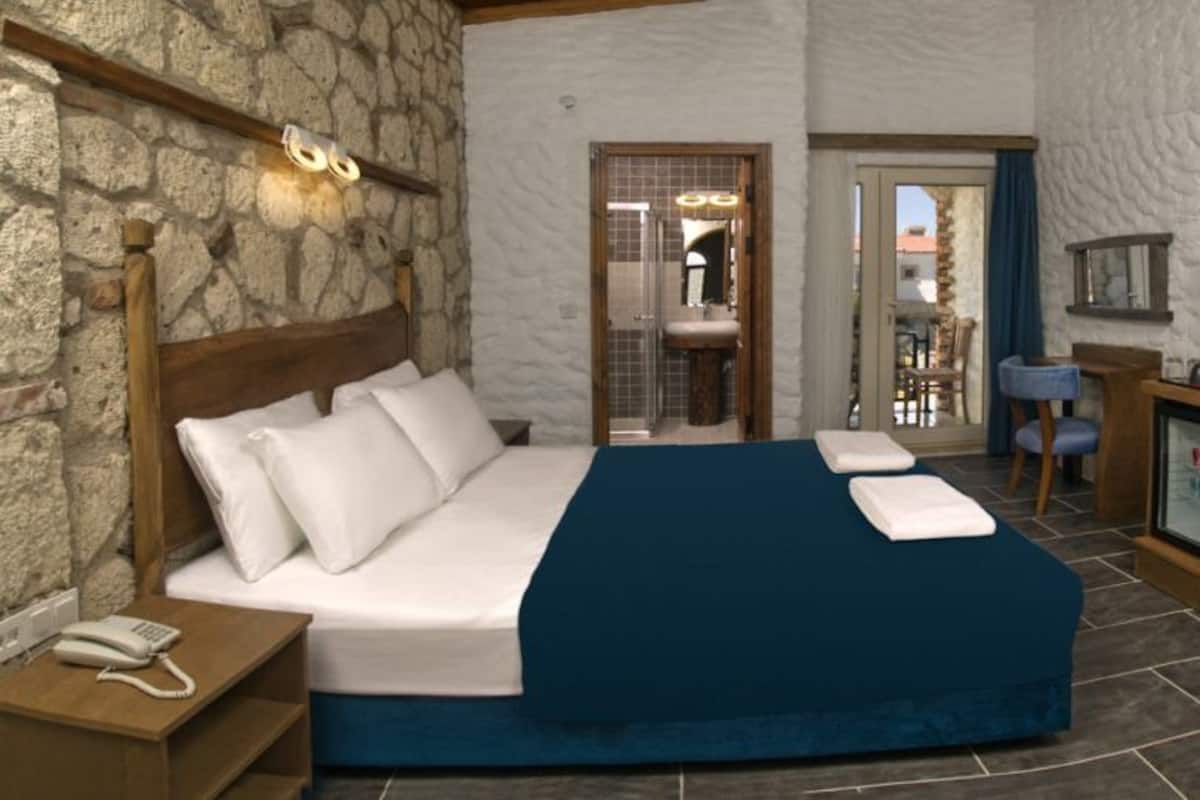 Minibar, desk, iron/ironing board, free wired Internet