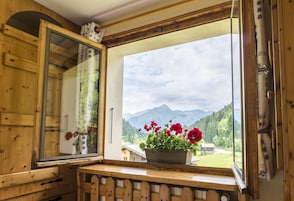 Vista desde la habitación