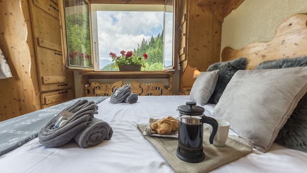 Une pièce confortable avec un lit, une fenêtre donnant sur les arbres, un pot de fleurs et une cafetière.