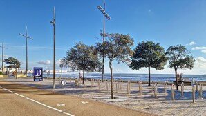 A coastal promenade with trees, metal railings, and a clear view of the sea.
