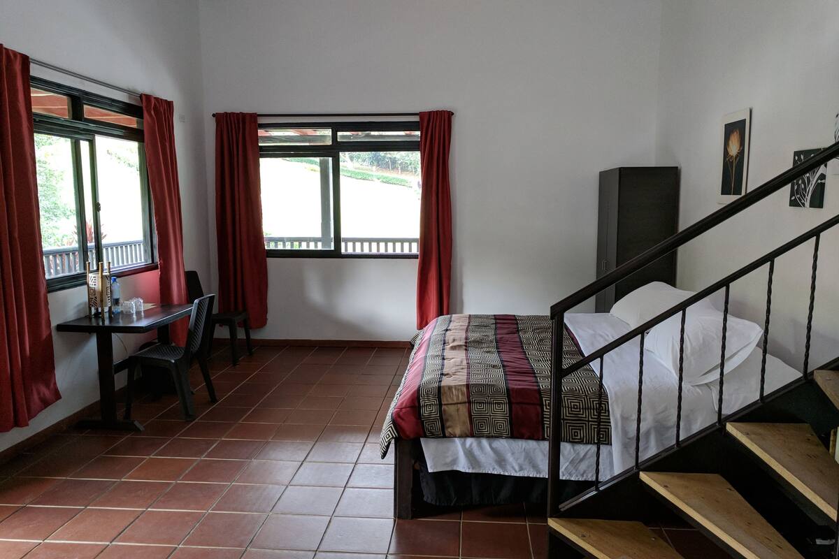 Desk, WiFi (free), bed sheets