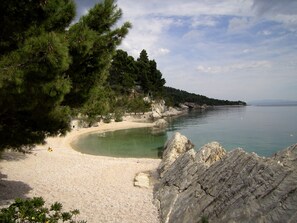 A beach with clear waters, rocky shoreline, and dense pine trees. - newly renovated house, fantastic terrace with view of the sea (Dalmatien)