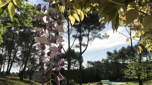 A garden with a hanging flower display, a pool, and surrounding trees. - Near Aix-en-provence, country house, with pool without vis-à-vis (Aix-en-Provence)