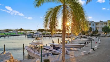 Port de plaisance