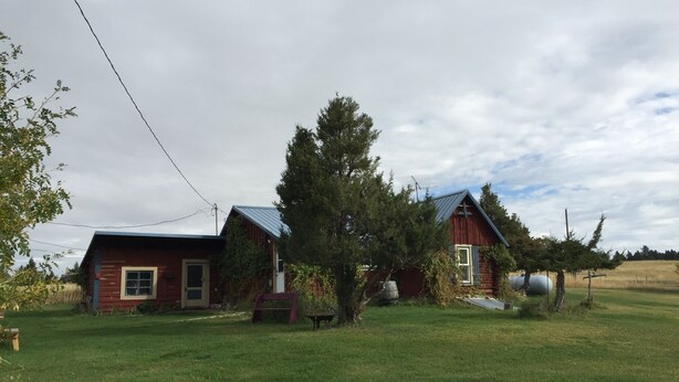 Two rustic cabins with metal roofs, surrounded by a grassy field and trees. - Ranch House in the Elkhorn Mountains (Clancy)