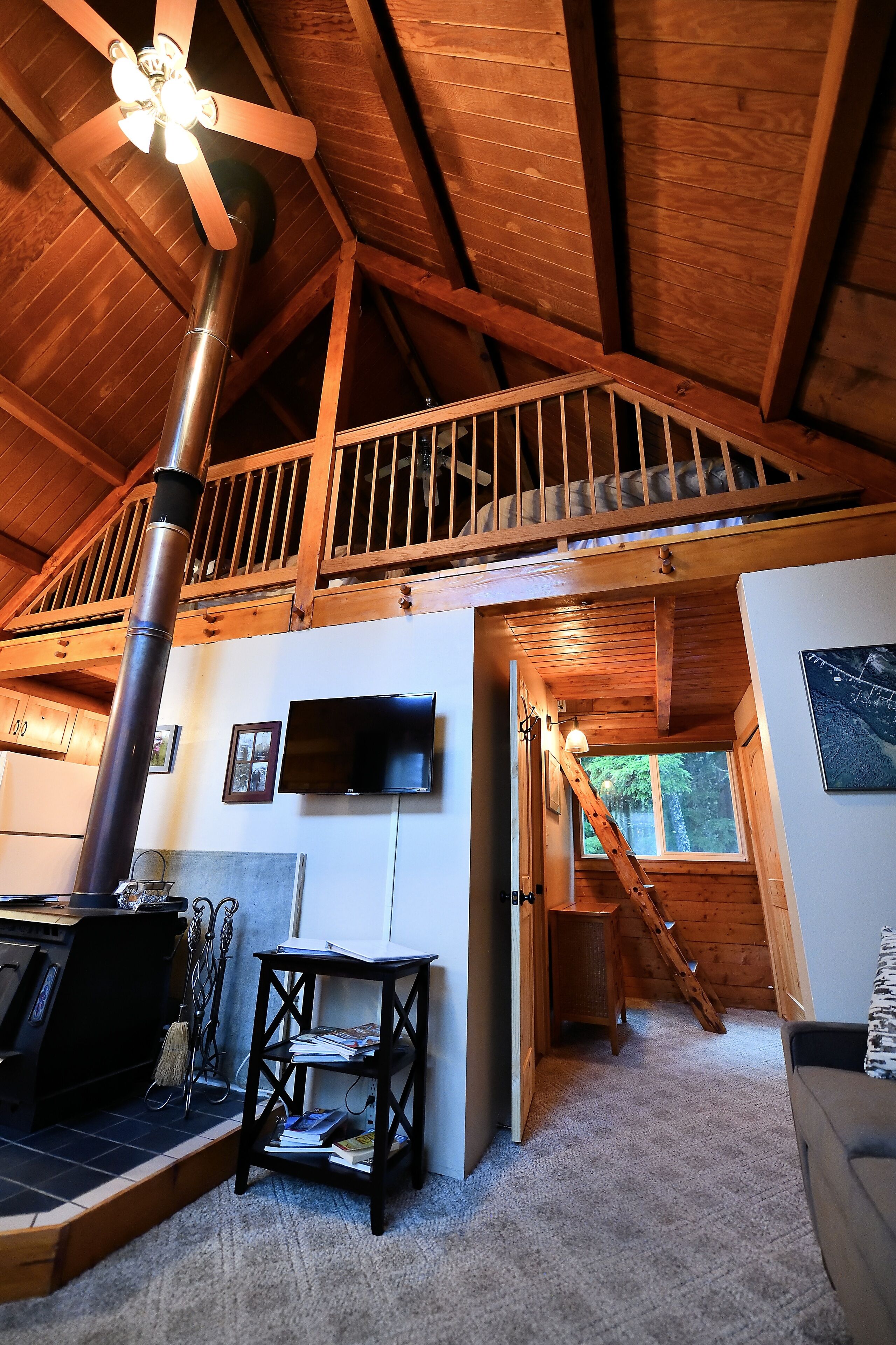 Älytelevisio, takka, DVD-soitin, kirjoja