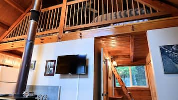 Smart TV, fireplace, DVD player, books