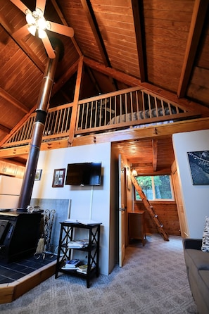 Smart TV, fireplace, DVD player, books