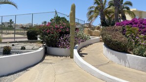 A landscaped garden with cacti, flowering plants, and palm trees.