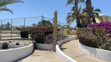 Área da propriedade