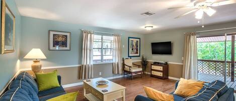 TV, DVD player, books