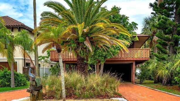 Un jardín tropical con una palmera, una terraza de madera y un edificio con balcón.
