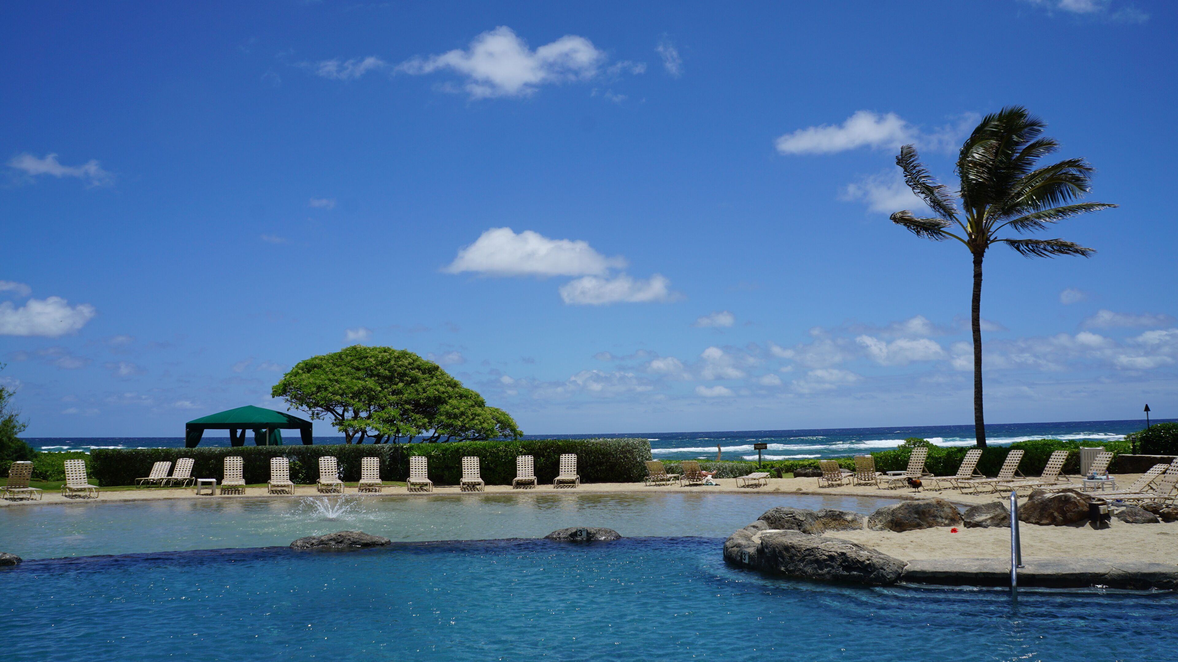 enjoy the man-made beach and sand bottom pool - right off the beach!