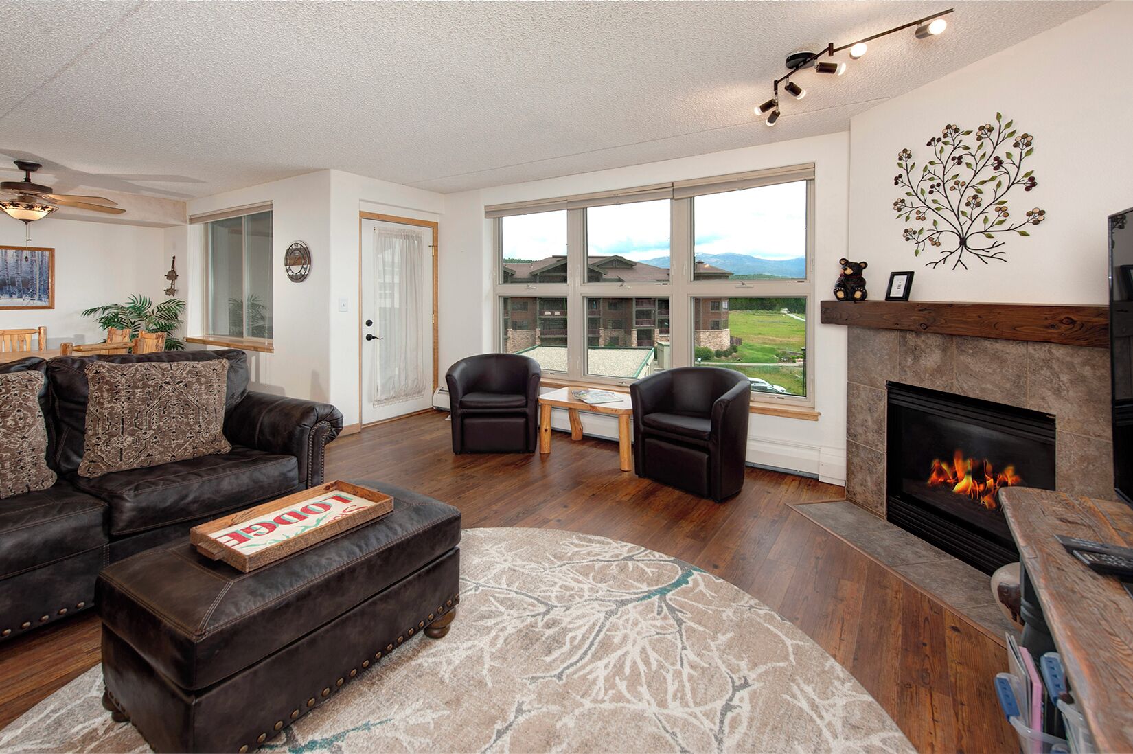 Smart TV, fireplace, DVD player, books