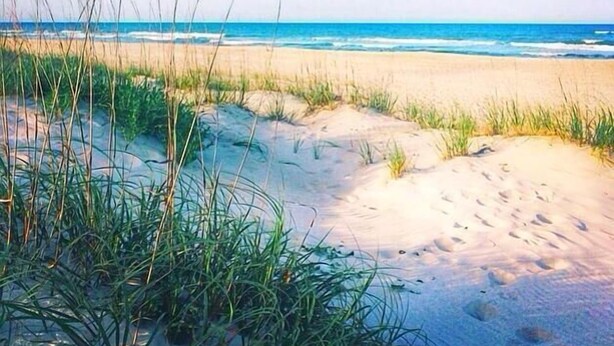 Una playa con dunas de arena y hierba en primer plano, que se extiende hacia el océano.