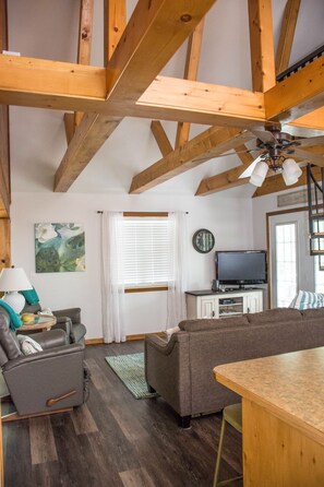 Smart TV, fireplace, DVD player, books