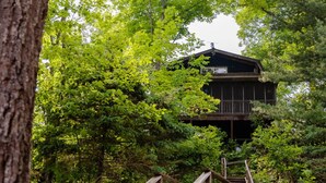 Un escalier en bois mène à un bâtiment rustique également en bois, qui est entouré d’une végétation luxuriante.