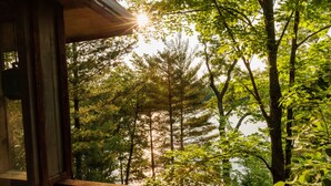 Une vue depuis une fenêtre donnant sur une zone boisée, avec la lumière du soleil filtrant à travers les arbres.