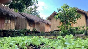 A row of thatched-roof huts with a garden in the foreground. - Lanna House Lanna Hut Chiangmai (San Kamphaeng)