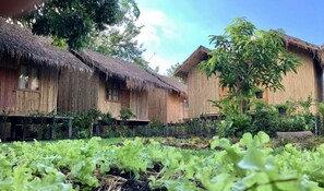 Exterior - Lanna House Lanna Hut Chiangmai (San Kamphaeng)