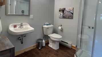 Suíte família, 1 quarto, para não fumantes, cozinha | Banheiro | Chuveiro, chuveiro com efeito de chuva, produtos de toalete grátis