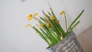 Un vase en verre transparent, orné de motifs gravés sur le côté, contenant des fleurs jaunes, posé sur une surface en bois.