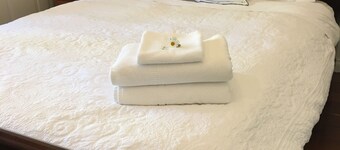 Gorgeous Federation style home in West Perth house with wifi & free parking