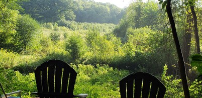A sanctuary just 15 minutes from Detroit