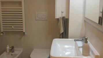 Regadera, secadora de cabello, bidet, toallas