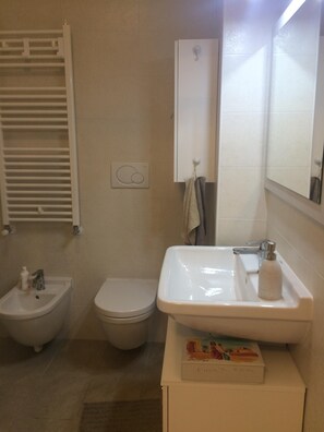 Shower, hair dryer, bidet, towels