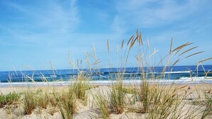 En strand med högt gräs och havet i bakgrunden.