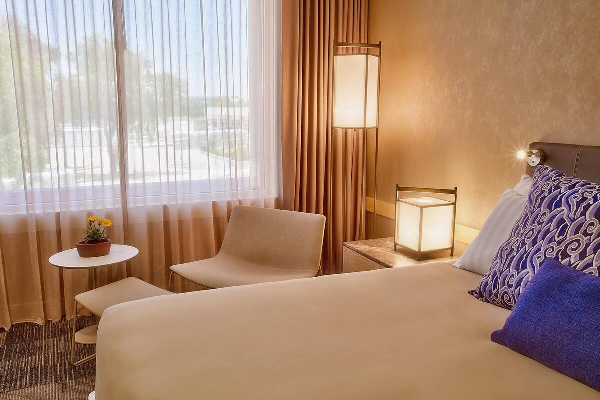 Une chambre d’hôtel avec un lit, une chaise, une petite table ornée d’une plante, une lampe de chevet et une vue sur l’extérieur à travers des rideaux légers.