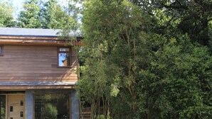 Exterior - DreamWoods (Puerto Varas)