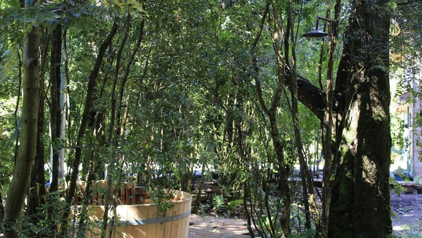 Outdoor spa tub - DreamWoods (Puerto Varas)