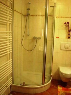 Une salle de bain avec une douche à parois de verre, des toilettes et un radiateur.