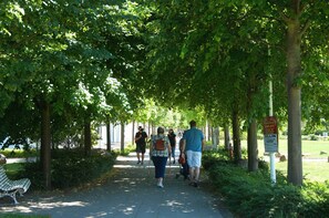 Unclassified image, 4 of 43, button - Emma in a quiet residential area with a beautiful plot by the forest - Emma in a quiet residential area (Sellin)