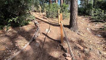 Terrein van de accommodatie