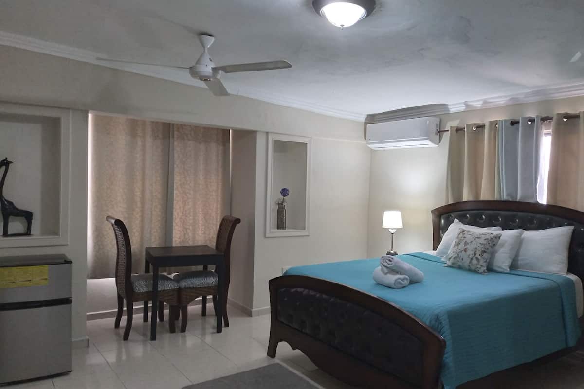 Elite Room, 1 Bedroom, Private Bathroom | Egyptian cotton sheets, premium bedding, down comforters