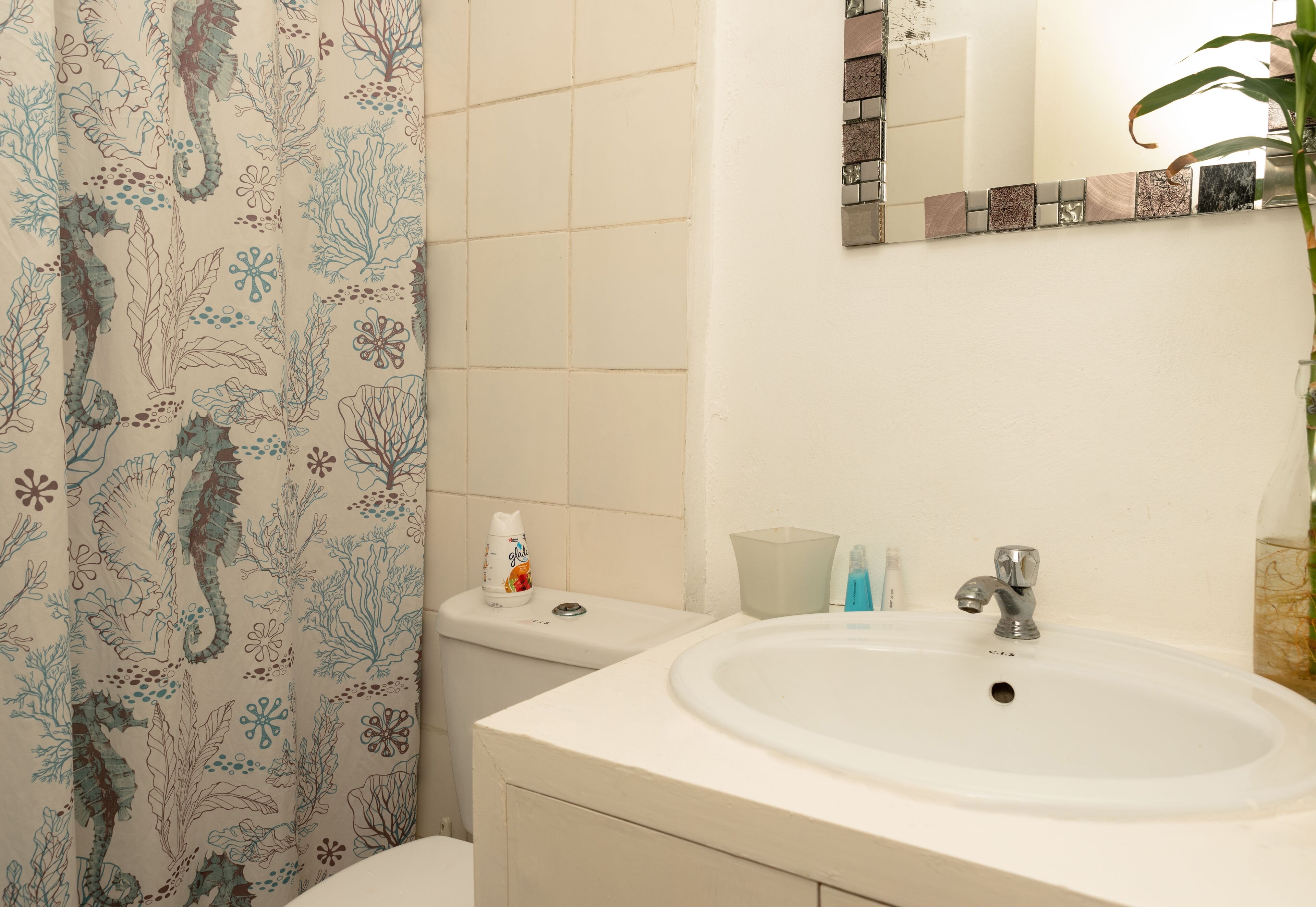 Photo - Hotel Boutique Simona