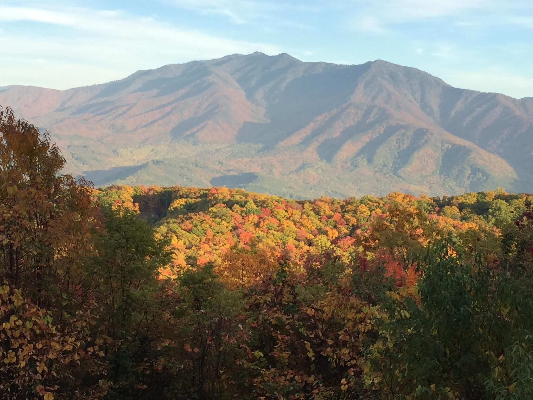 A mountainous landscape with autumn foliage.