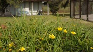 Property grounds - Cabañas 4 Esquinas (La Serena)