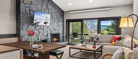 TV, fireplace, DVD player, stereo