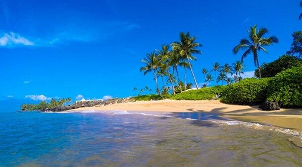 ビーチの近く、サンラウンジャー、ビーチタオル