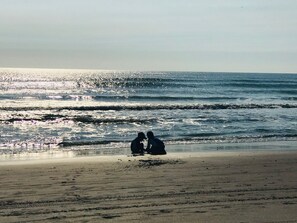 Plage, chaises longues, serviettes de plage