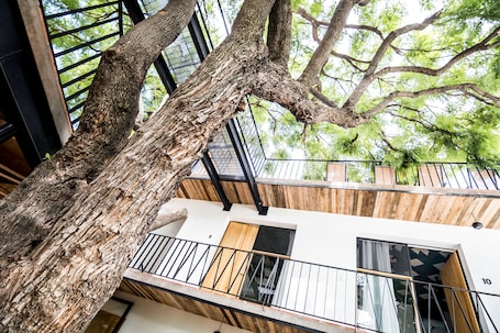 Patio. Hotel con Corazón Oaxaca