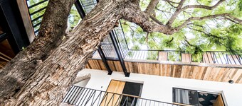 Hotel con Corazón Oaxaca