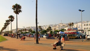 Une promenade en bord de mer bordée de palmiers, de bancs et d’une rangée de bâtiments blancs portant des enseignes indiquant un hôtel pour jeunes et un club de plage.