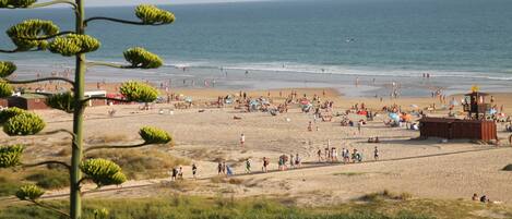 بالقرب من الشاطئ